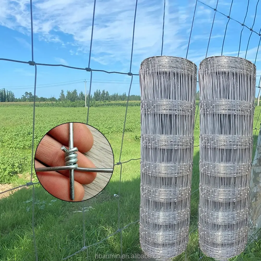 8ft height 50m length rural cattle sheep goat fixed knot deer fence