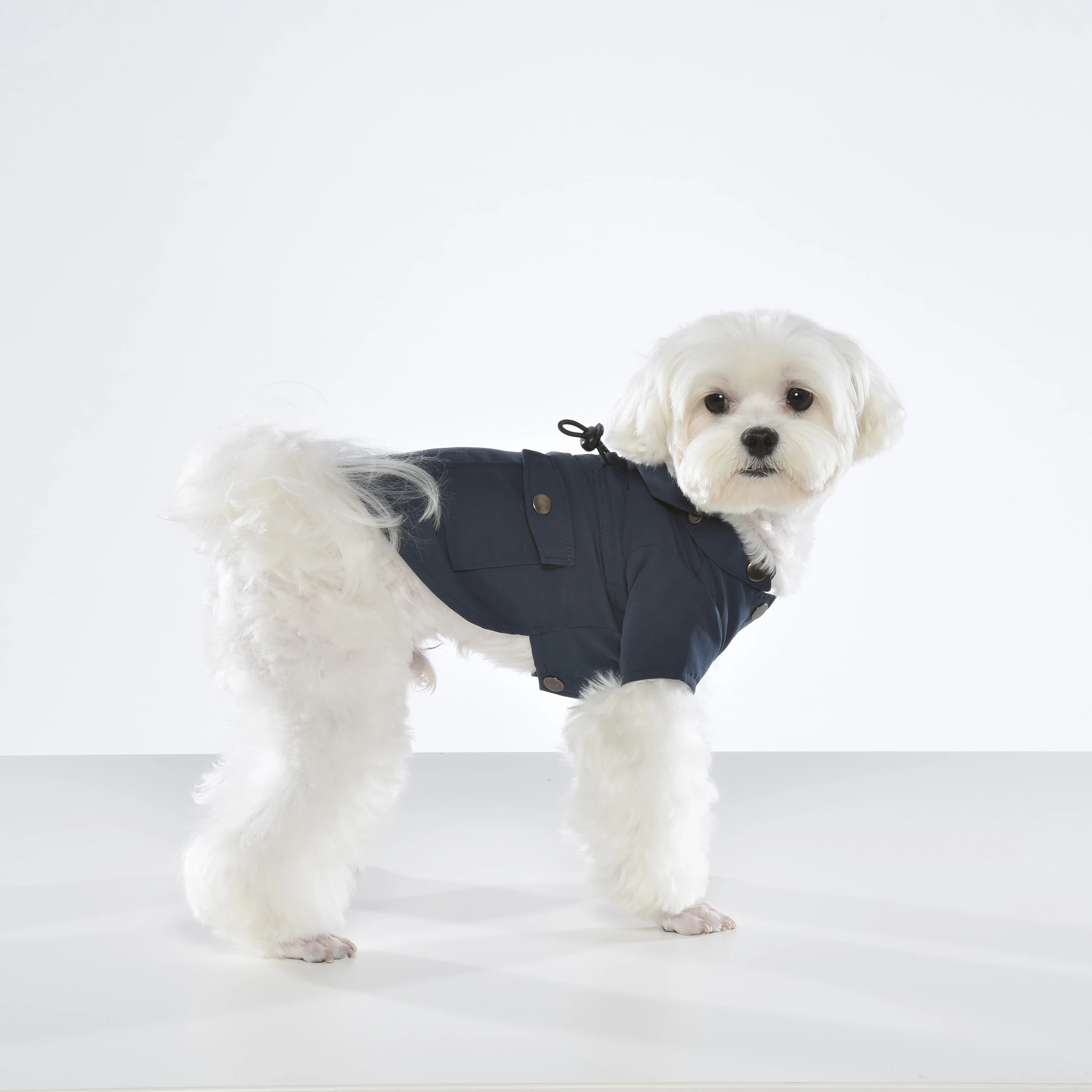 ODM Taiwan elegant dog clothes Topcoat windbreaker for small dogs