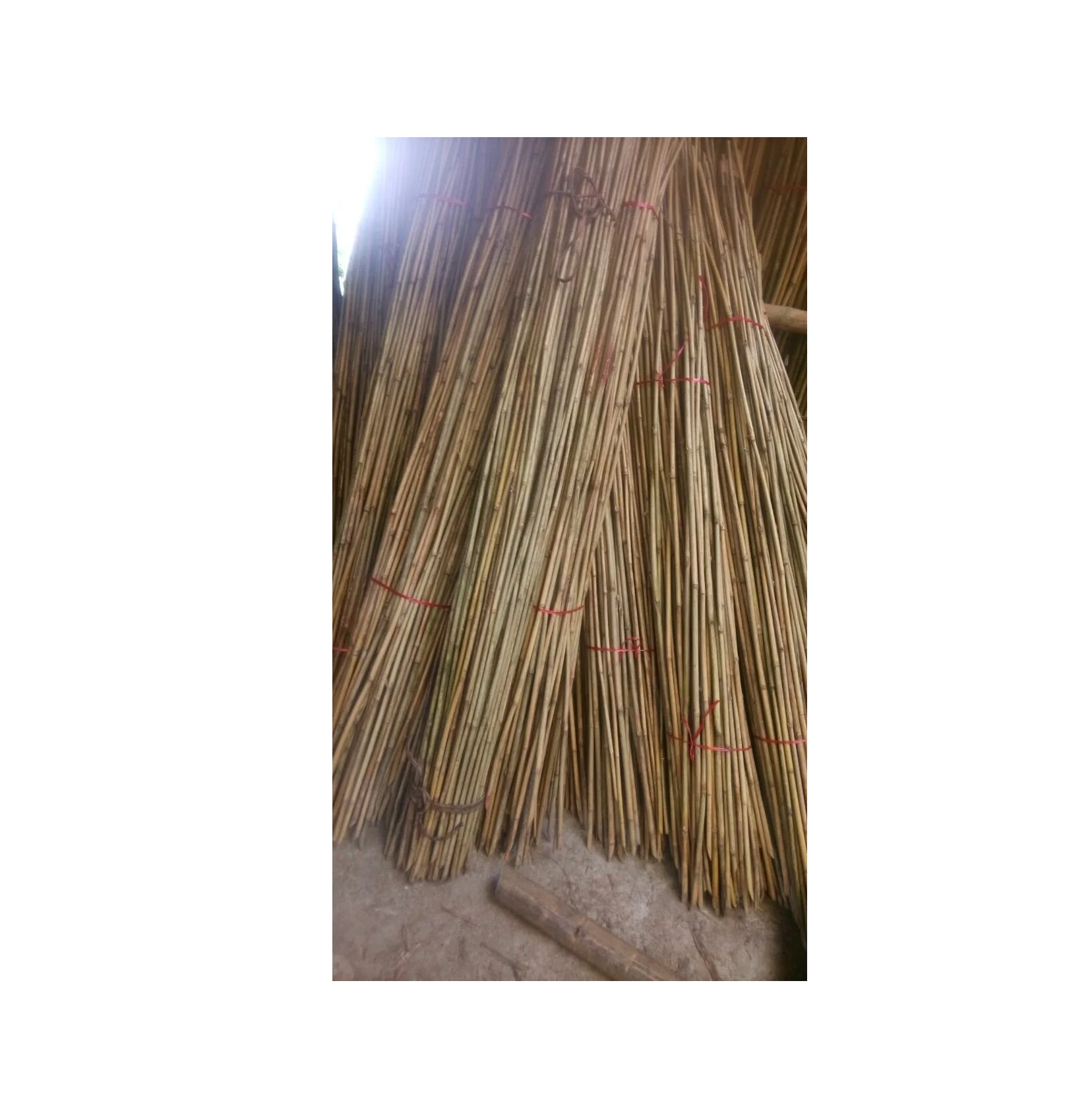 HIGH QUALITY Bamboo Natural Bamboo Sticks /Cut Bamboo Sticks/ Natural Bamboo pole cane craft material ( whatsapp 0084587176063)