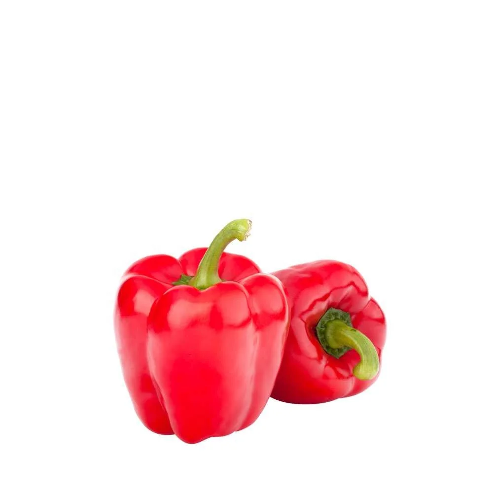 fresh Capsicum, fresh pepper, fresh bell pepper ready for transport good quality directly