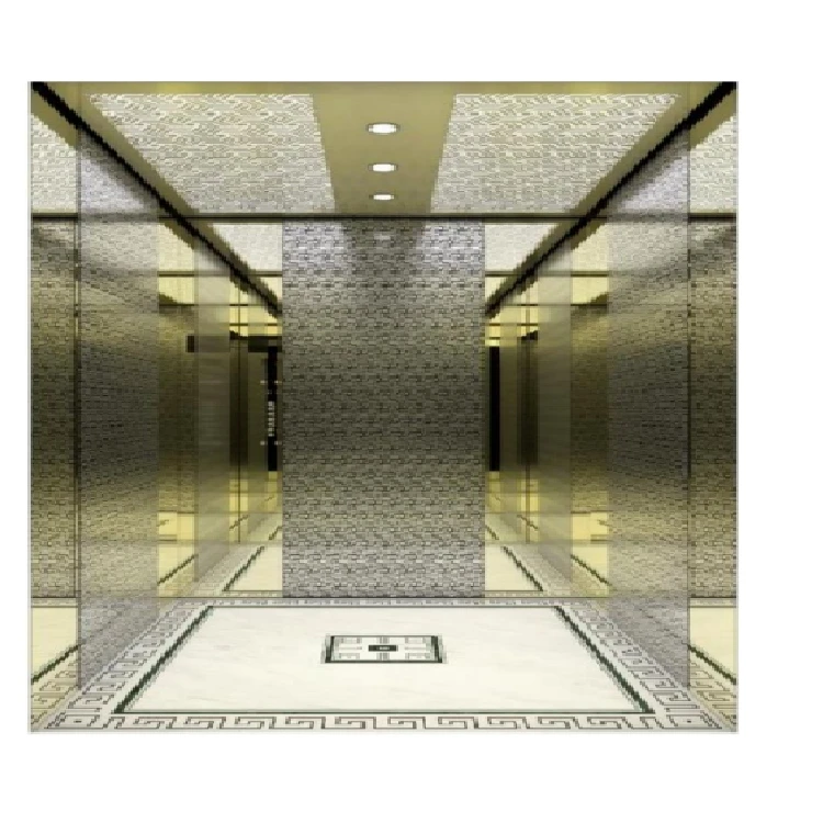 MSDS 630kg 800kg 1000kg Home Elevator Gearless Motor Residential Passenger Elevator