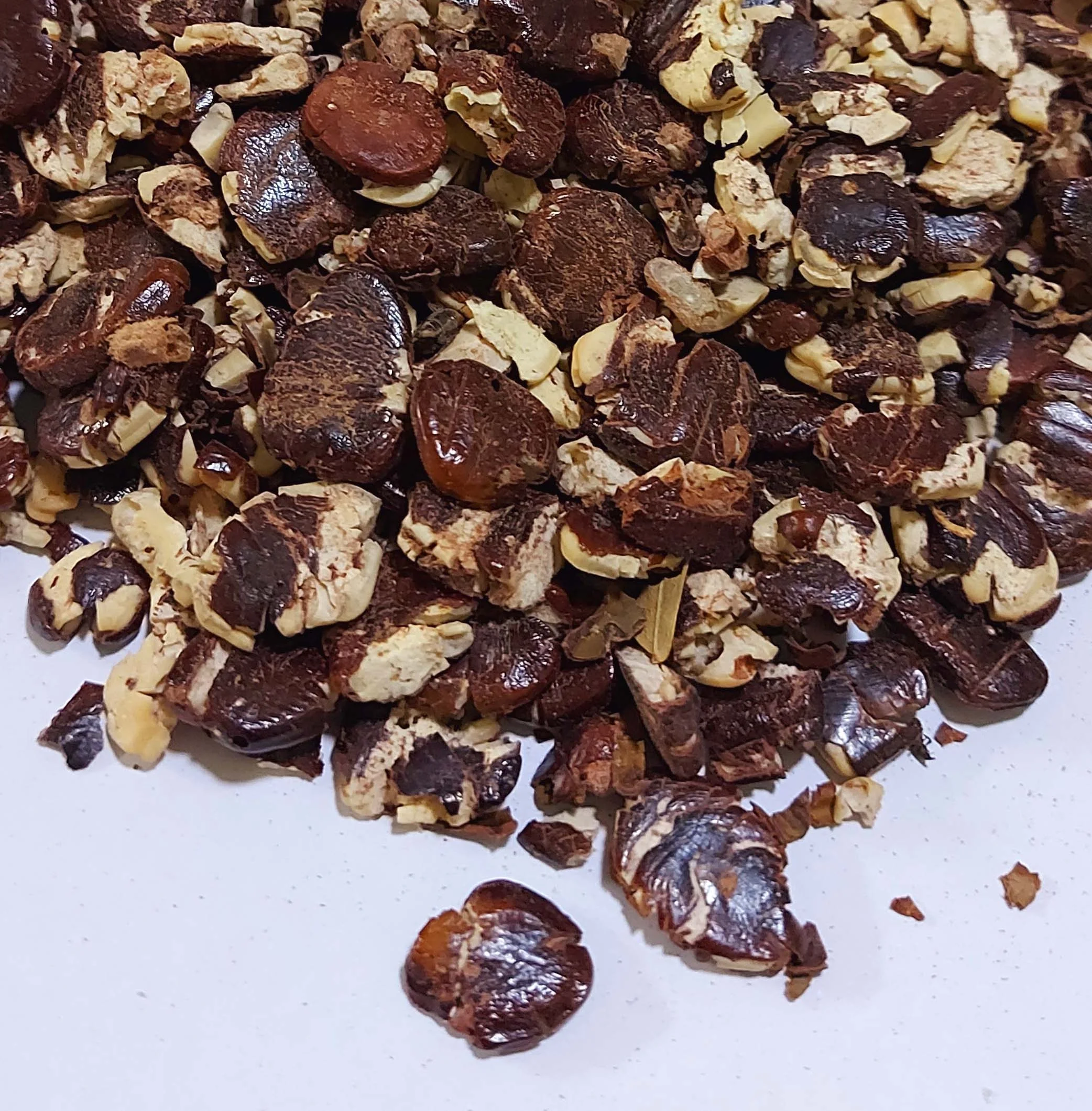 New Crop 2022 Split Tamarind Seeds Thailand,Tamarind Seed Ready To Export From Thailand And Product Feet For Bangladesh