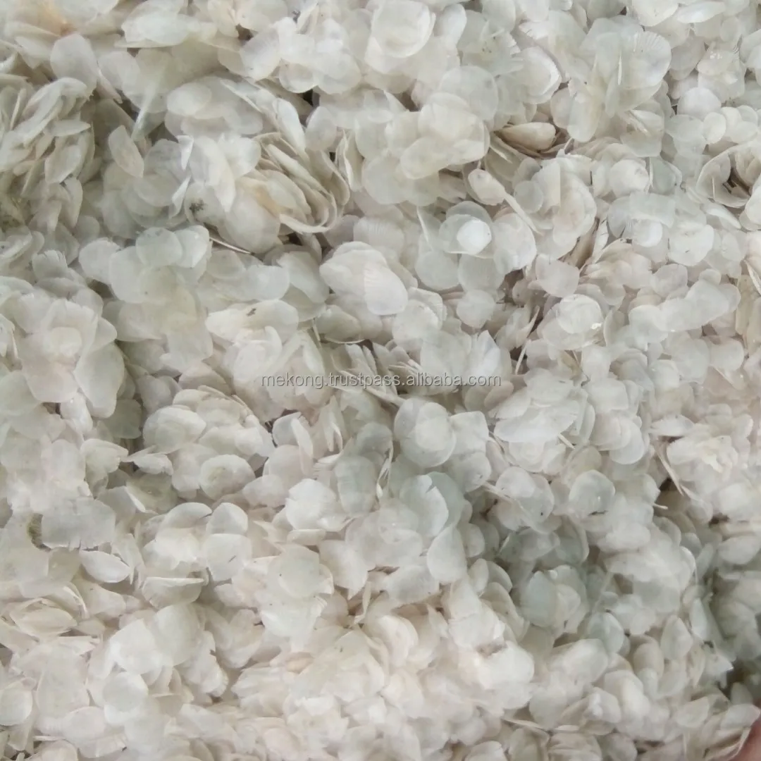 Wholesale Hot Deal Stock Available Fish Scale Ossein For Chitosan Ready To Ship