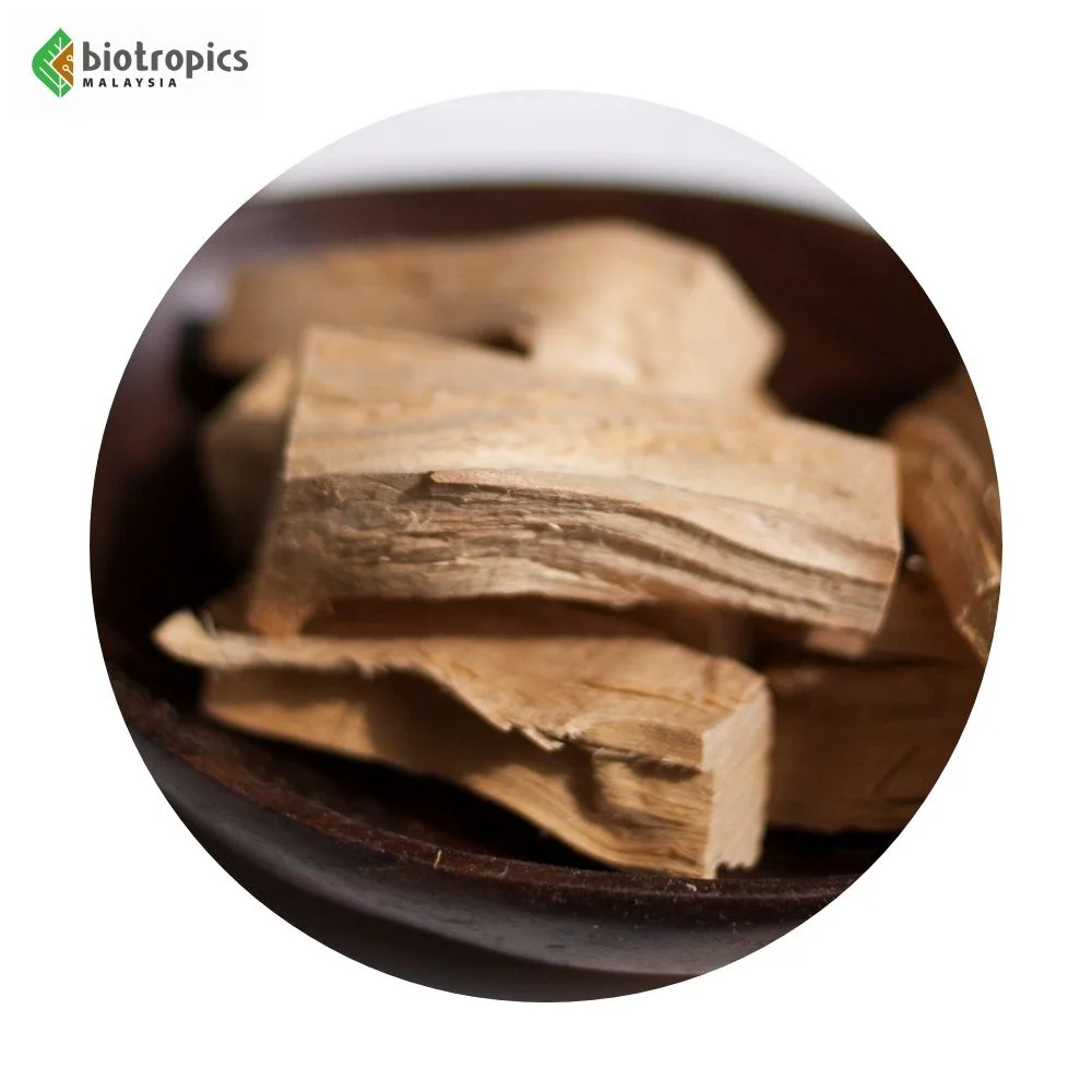 New Arrival Malaysia Tongkat Ali Root Extract Powder PG5 as a Natural Energy Enhancer