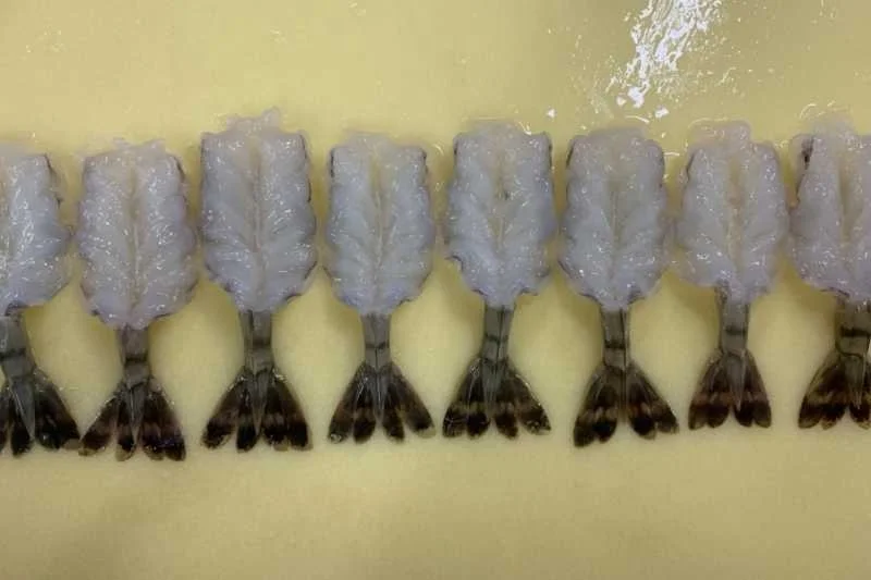 Wholesale High Quality Fresh Seafood Raw Vannamei Shrimp Made in Vietnam in stock on sale best for export