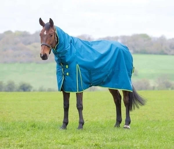 3 belly Surcingle Heavyweight Horse Combo Turnout Rug For Sale