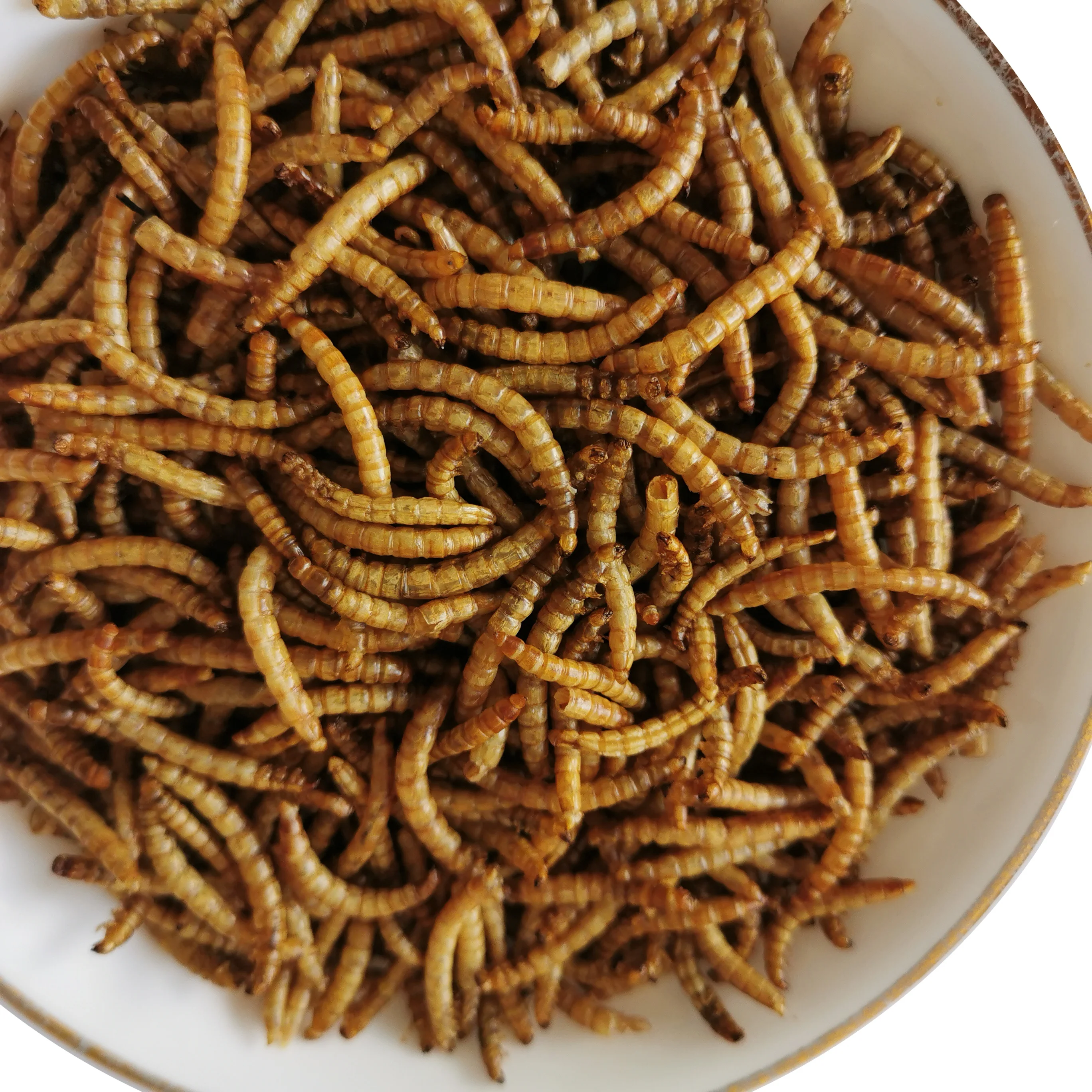 Microwaved dried mealworm bird food pets food animal food