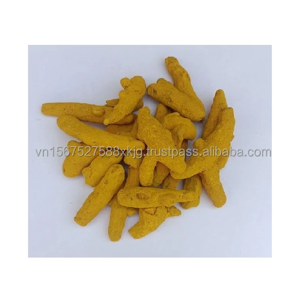 Single Herbs & Spices - turmeric root curcumin turmeric fingers whole stick root / Turmeric Finger - Export From Vietnam