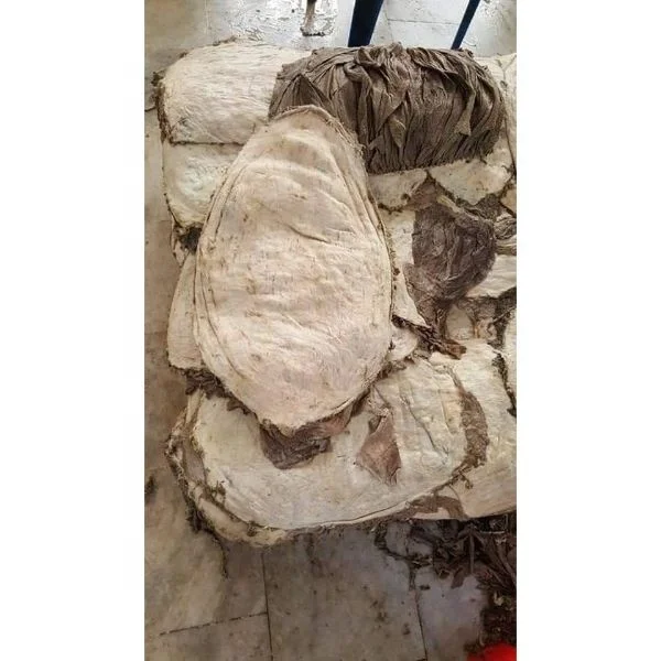 Stomach part Beef Omasum Ready Stock