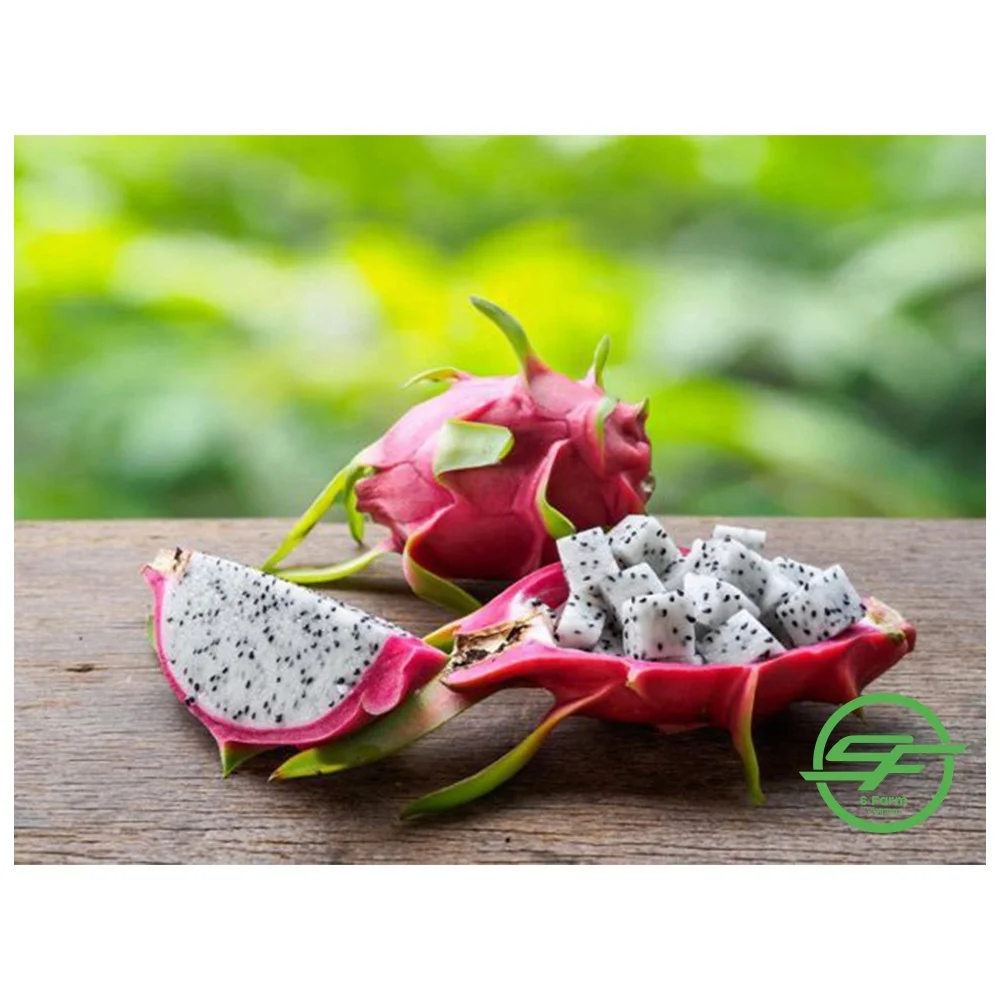 Fresh Sweet Dragon fruit Hot Selling Vietnam Export