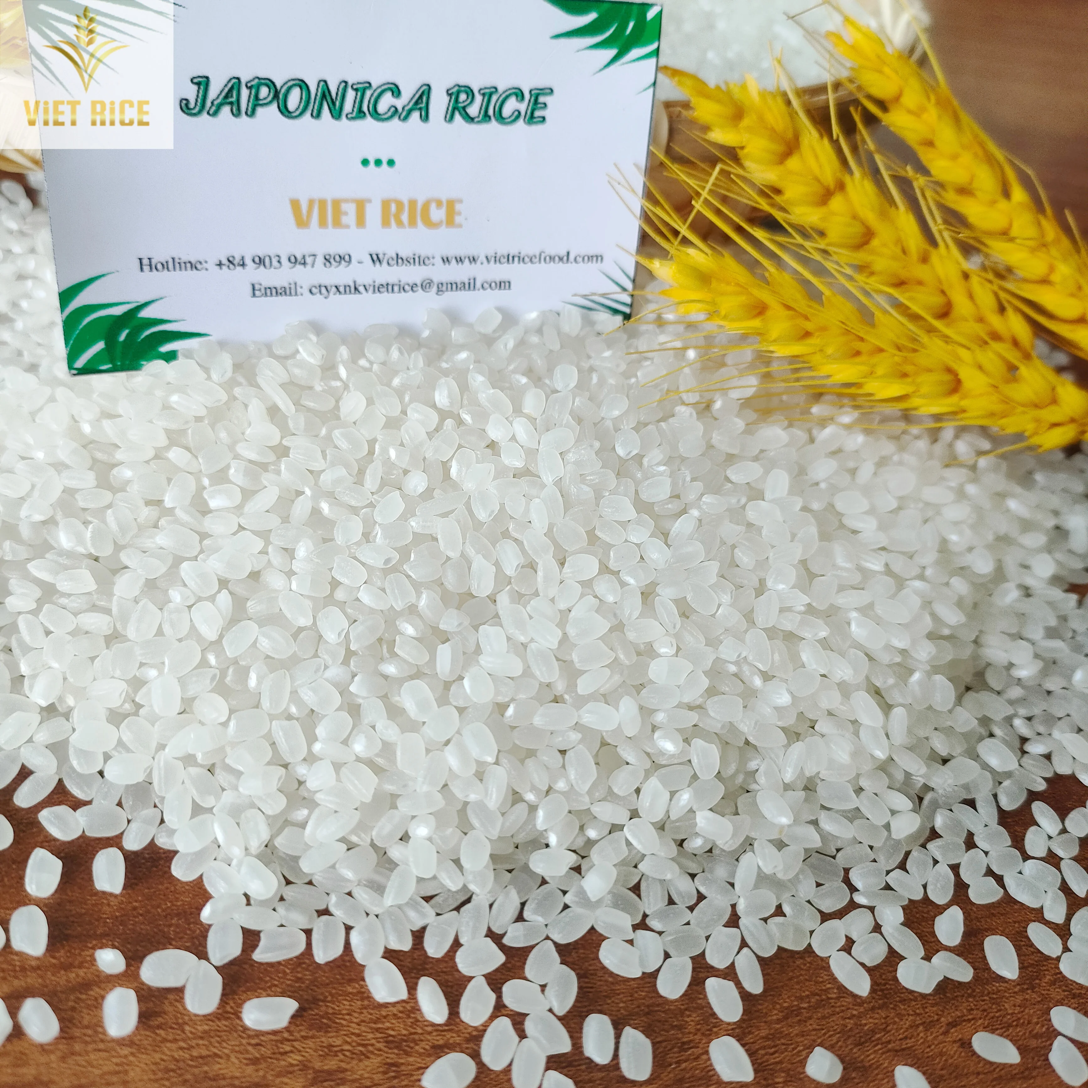 Japonica 5% broken short grain white rice - the best option for making sushi supplied by VIETRICE in large quantity& cheap price