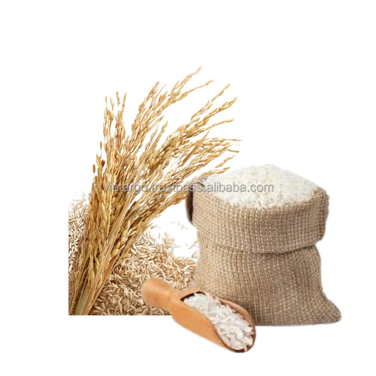 Jasmine Rice Seeds Good Quality Common Aromatic Rice Wholesaler Customized Packaging Vietnam Manufacturer