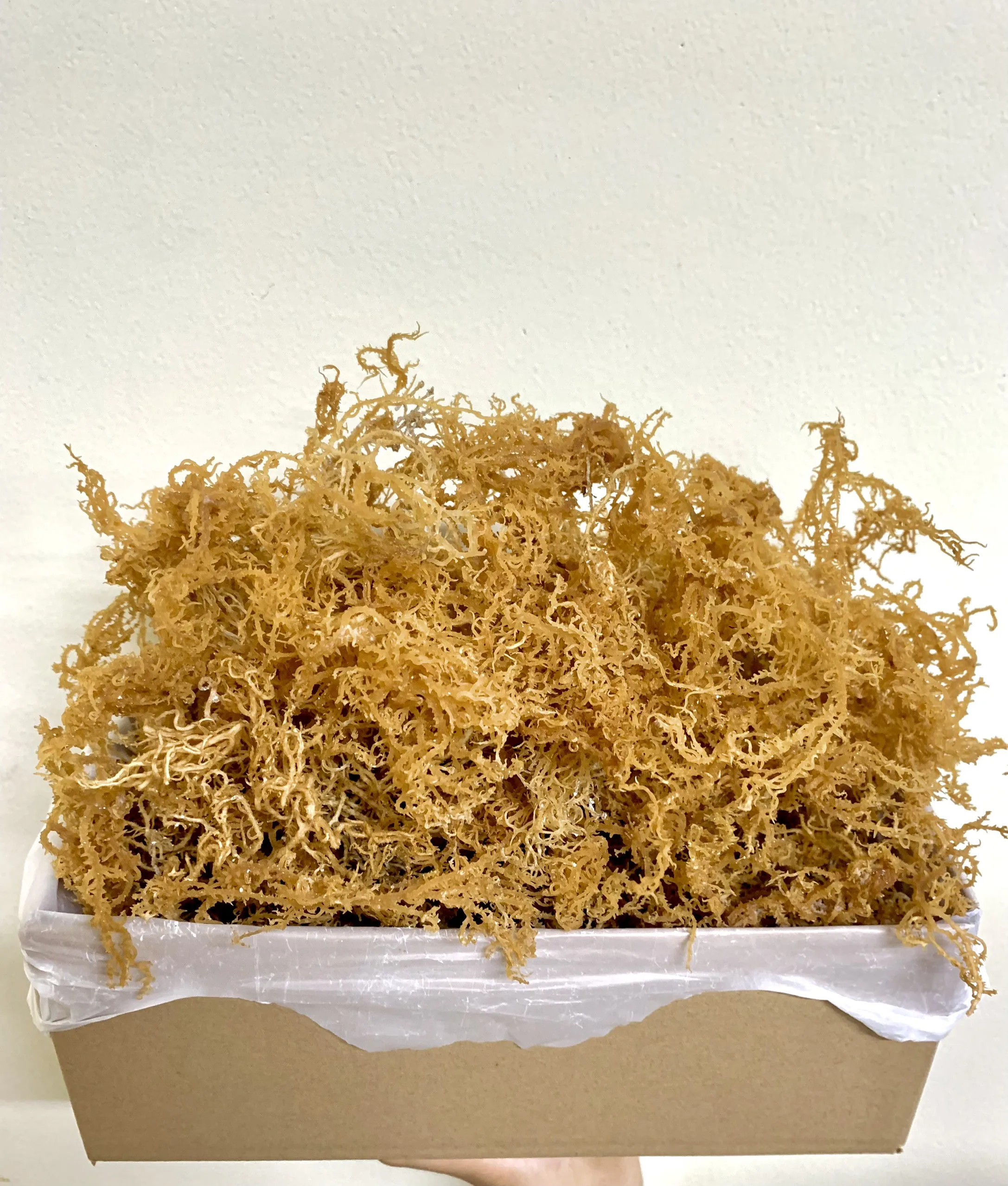 [HOT]  NATURAL DRIED SEAMOSS GOOD PRICE FROM / Ms, Lucy