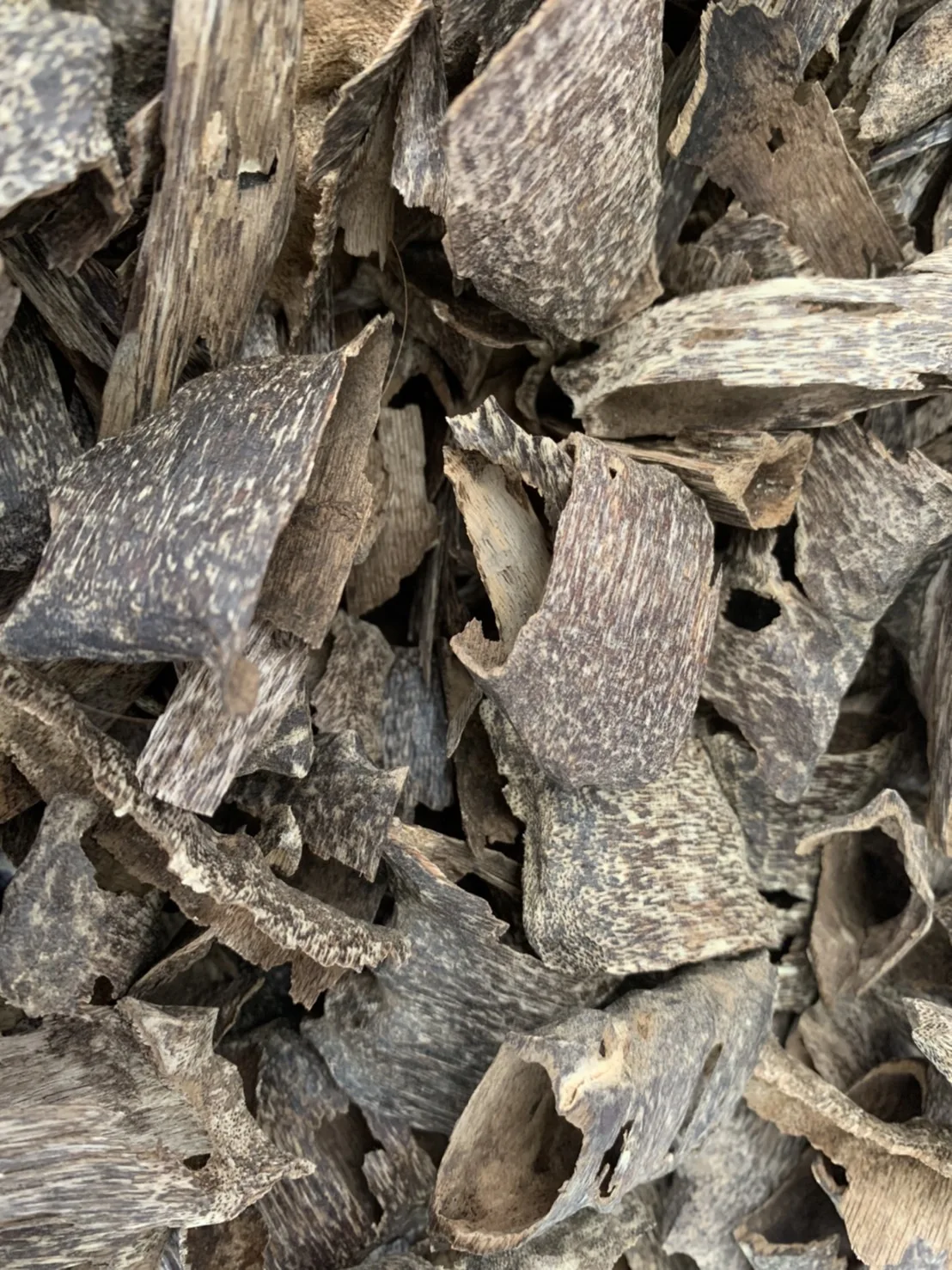 Natural Premium Organic Agarwood Chips Super Grade Aloeswood Eaglewood Gharuwood Chunks  Oudh Incense Fragrance Sweet Full Oil