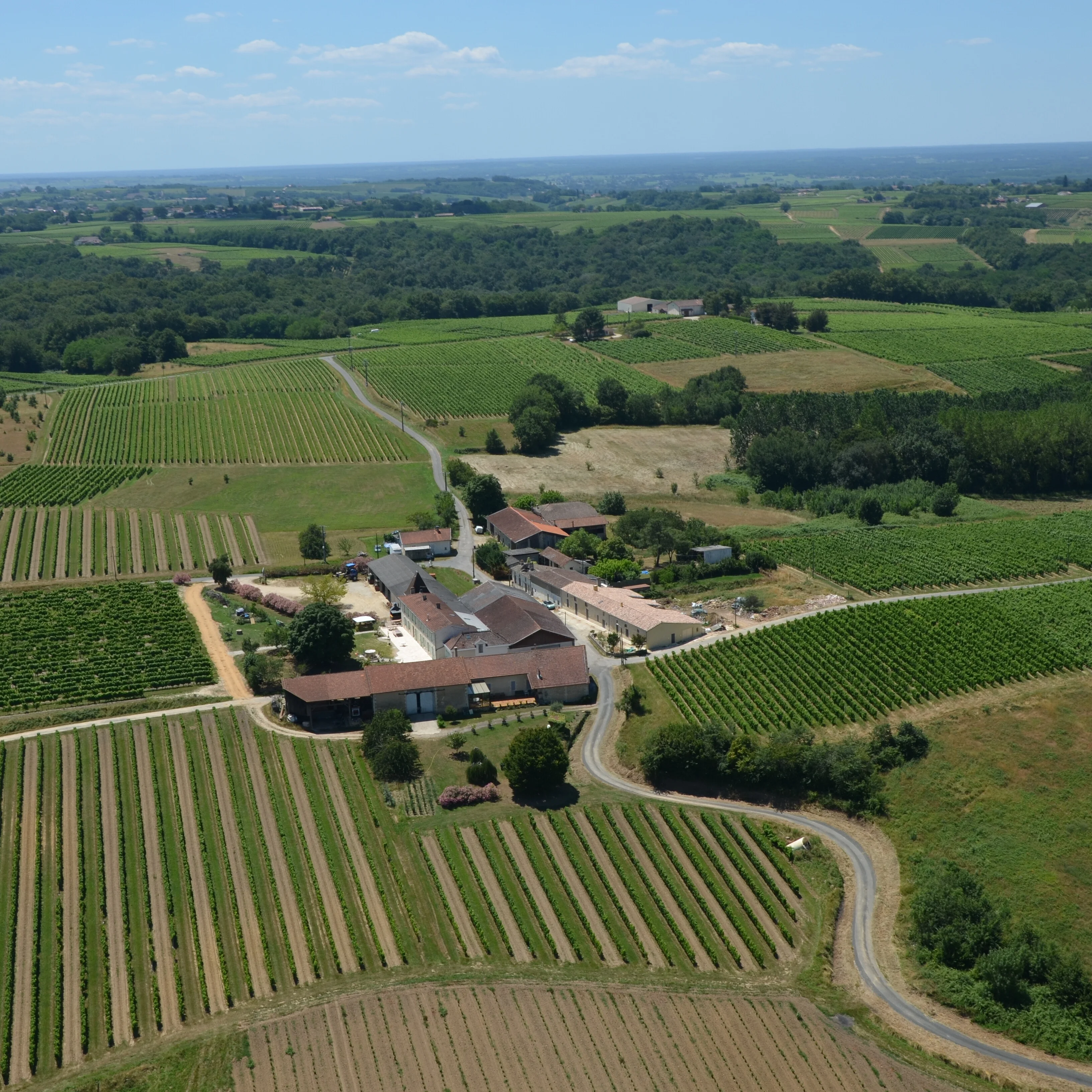 Французское органическое сертифицированное красное вино Chateau de Cranne от vignibles Lacoste 12.5% alc высокое качество Merlot Cabernet для банкетов