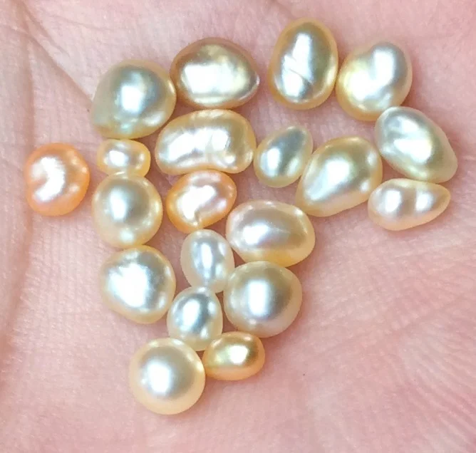 
South Sea Keshi Pearl 