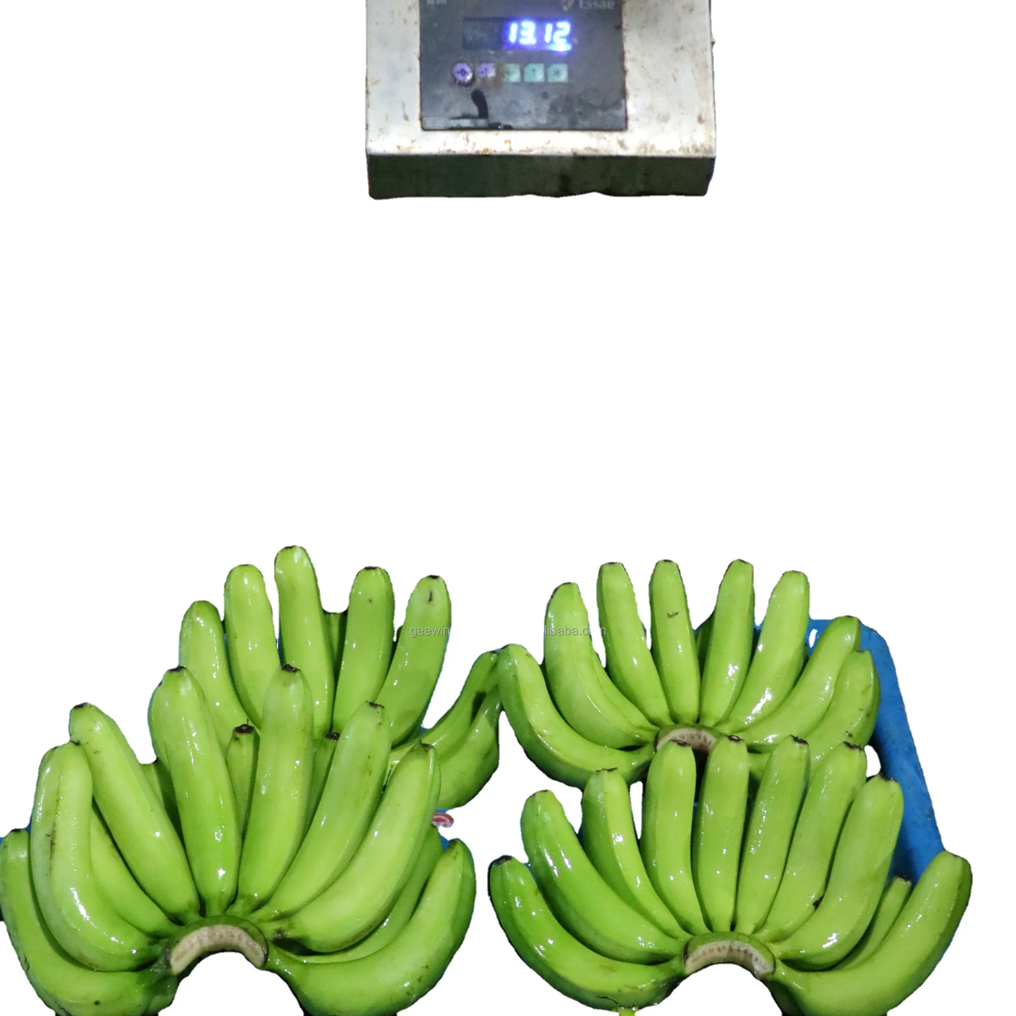 FRESH INDIA BANANA