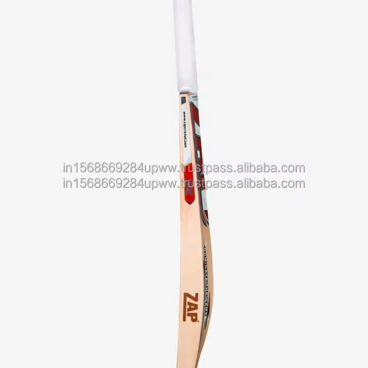 Wholesale Supply Premium Handcrafted ZAP Glider Kashmir Willow Bat for Senior Cricketing Use from Indian Exporter- Size 3