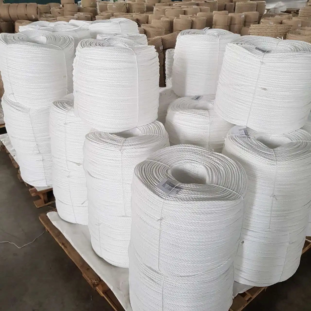 Super Sale on High-Density PE Twisted Rope Best Price Logistics Packaging Rope Vietnamese Manufacturer Pp Braided Coil Packed