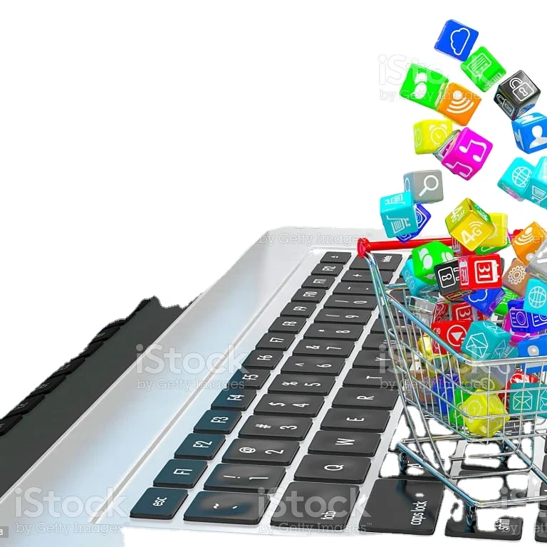 Drop Shipping Ecommerce Stores Online Shopping Website Web  Design Website Builder  Word press Website Design and Hosting best