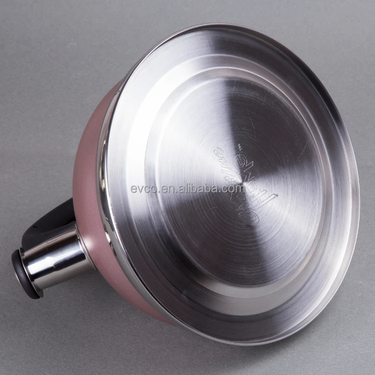 Alexa 3.0 Qt. Stainless Steel Stove Top Whistling Tea Kettle Water Kettle Camp Kettle in Rose Gold Color