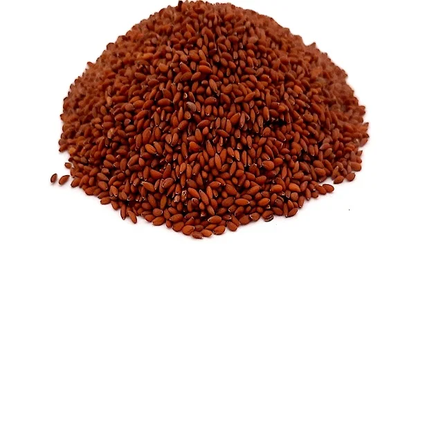 Factory Supply Asaliya Seed - Wholesale Price Sortex Clean Lepidium sativum - Indian Origin Asaliya Seed