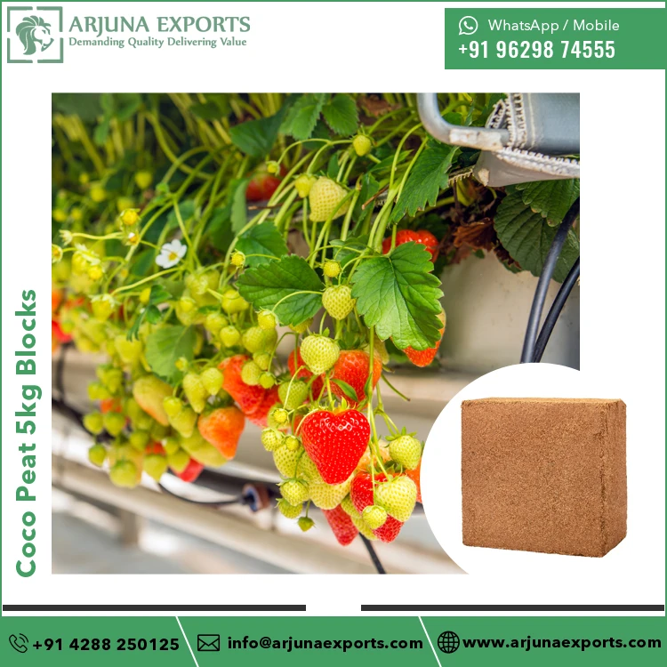 Premium Quality Coconut Coir Peat or Coco Pith 5kg Bricks for Potting Mix Suppliers at Wholesale Price