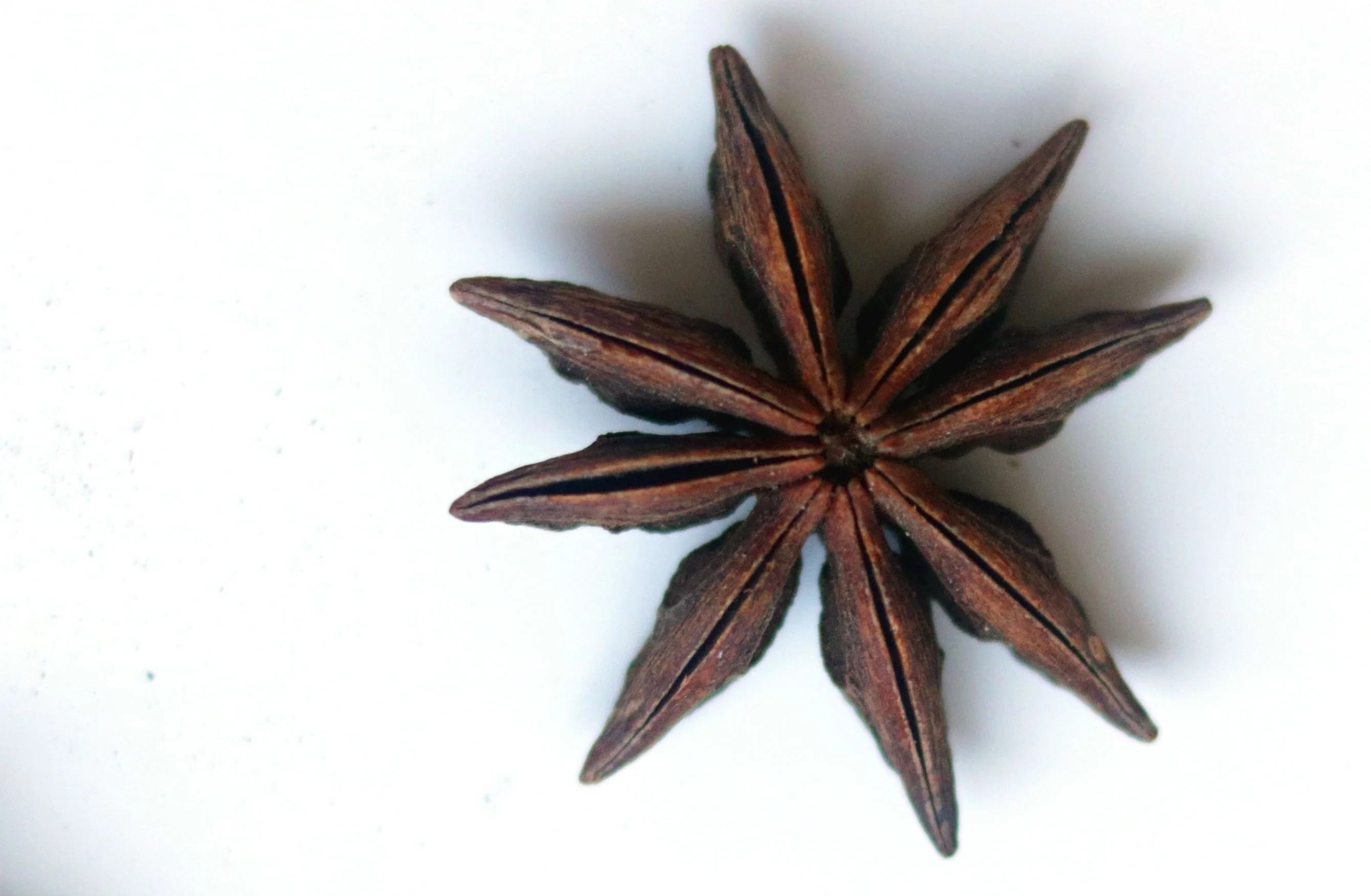 Single Spice Star Anise Aniseed Seasoning