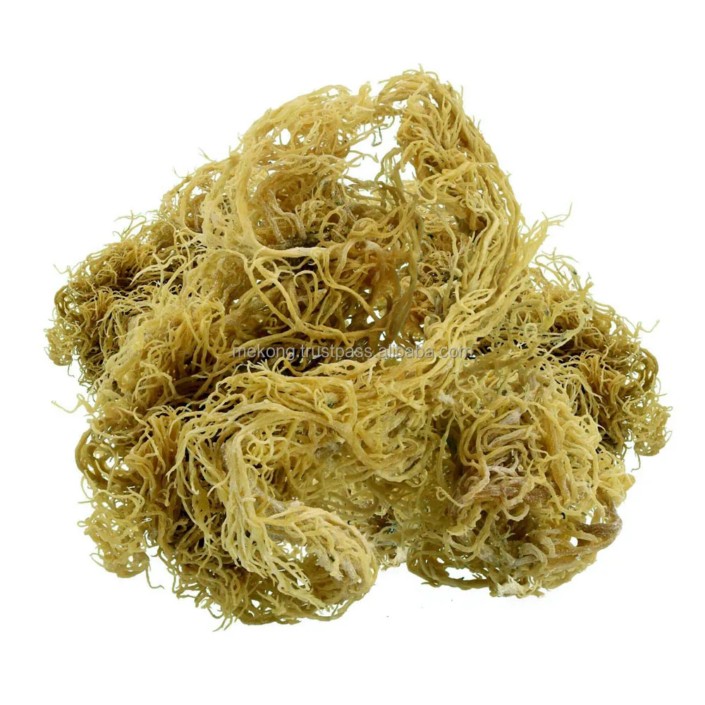 Высококачественный сушеный ирландский мох для перепродажи FBA с бесплатным пользовательским логотипом из Вьетнама