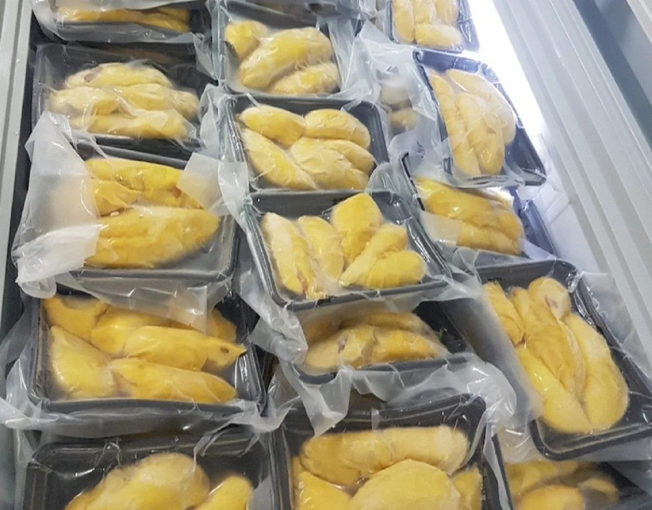 Top Vietnam Supplier Durian Fresh Premium Quality Fresh Whole Piece Frozen Pulp Durian