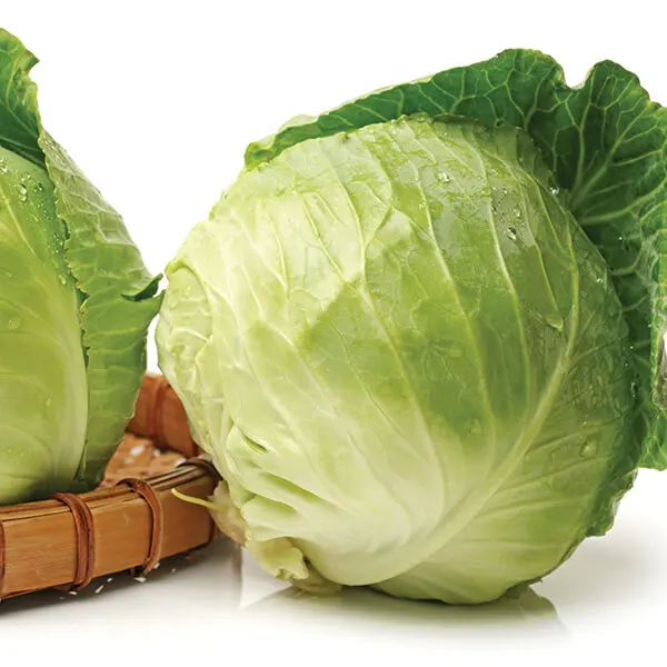 Sliced Frozen Fresh Green Cabbagein Vacuum Pack Wholesale Price Vietnamese Supplier