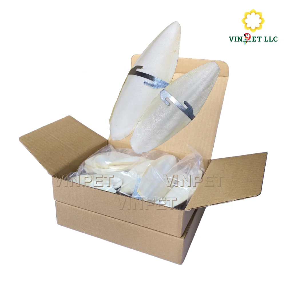 BIG SIZE 8' 100% NATURAL CUTTLEFISH BONE CUTTLEBONE IN BULK 5KG CALCIUM SUPPLEMENT PET FOOD BIRDS FEED ANIMAL FEED