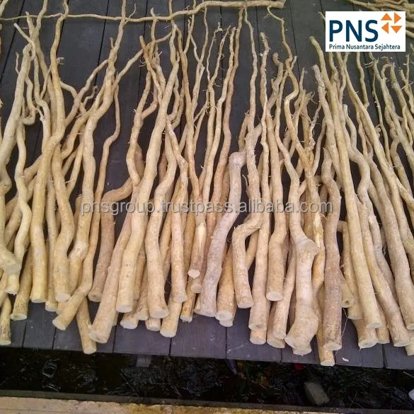 Eurycoma longifolia premium имеет множество преимуществ продаваемых по доступным ценам и гарантированное качество которое не разочарует