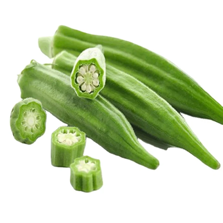 Export ready lady finger fresh organic green okra