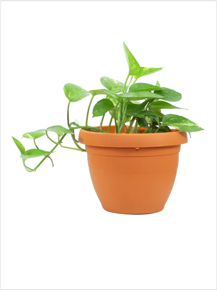 Best seller Column Planter hanging pot for home decoration with modern design