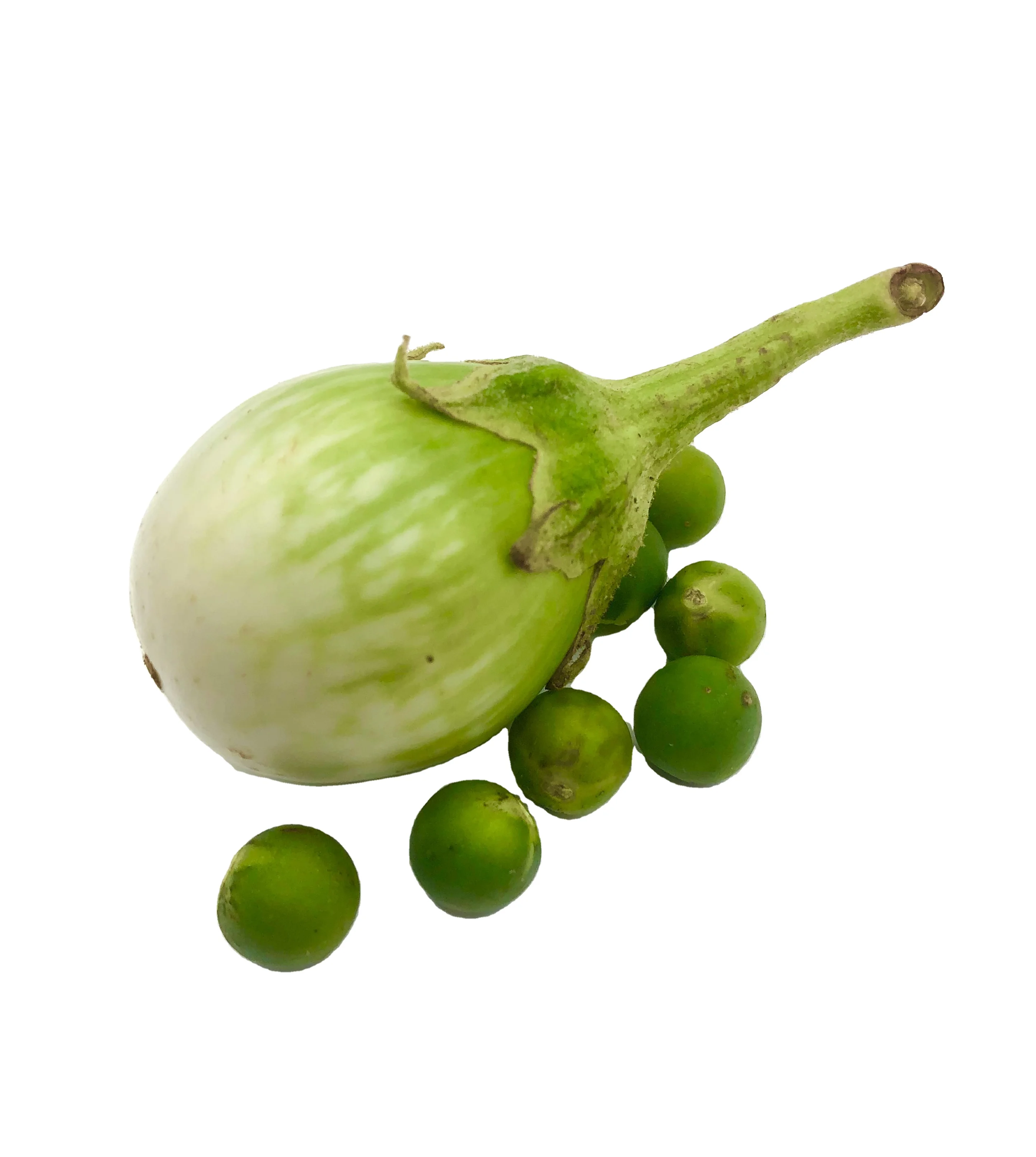 High Premium Quality Export Standard Fresh Vegetable Green Pea Eggplant for Sale