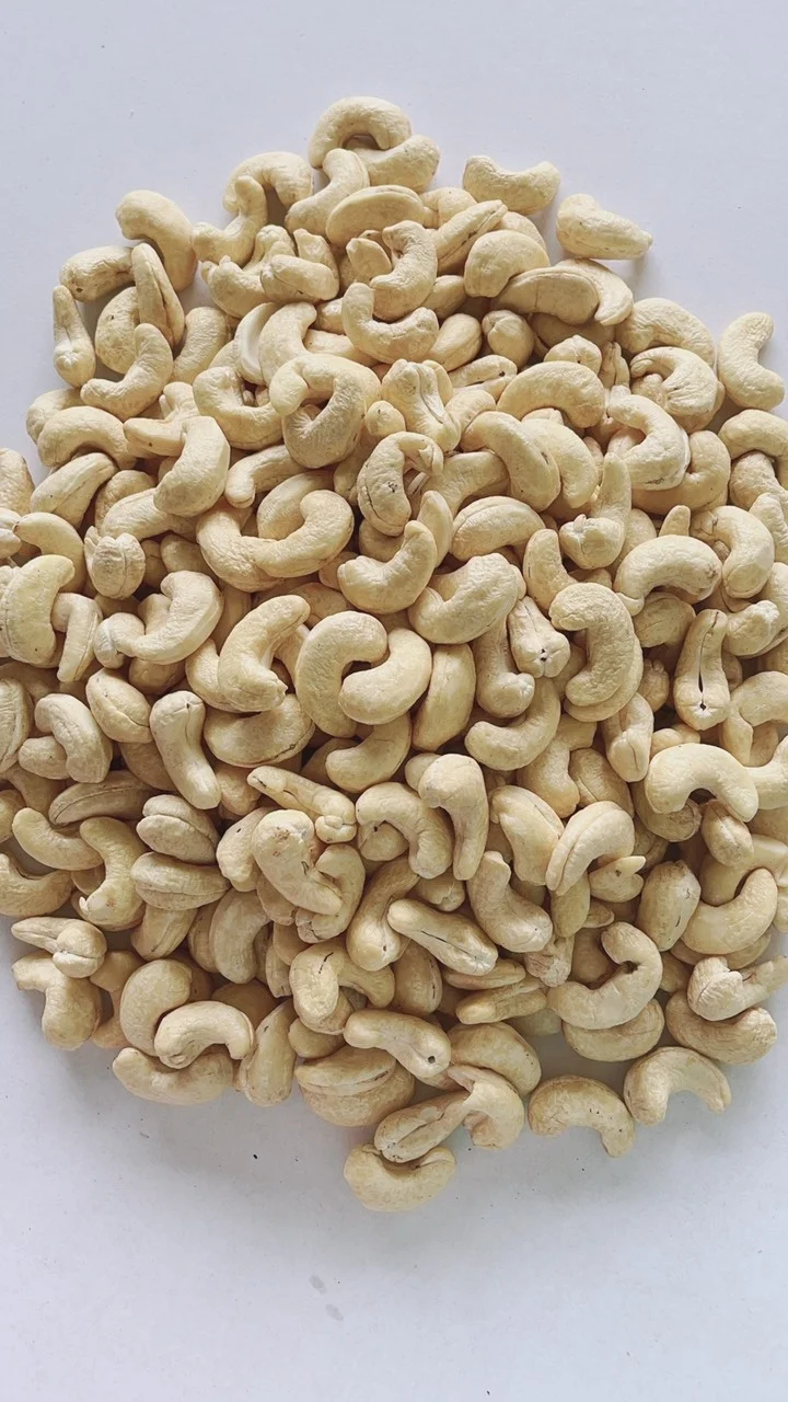 Dried Raw Cashew Nut Vietnam Export Standard Company Organic Cashew Nuts Products In Bulk
