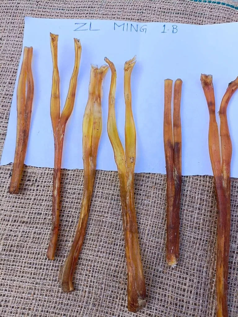 High Nutrition High Protein Dried  Tendon