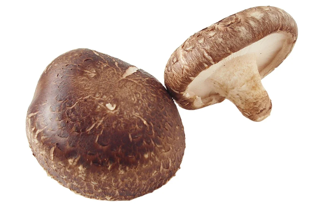 Top Quality Organic Dried Shiitake Mushroom//Most Popular Mushrooms Fresh Shiitake Mushrooms for Sale From Vietnam