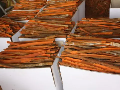 Fine Quality Cinnamon Stick Best Price Crushed Cinnamon Stick From Vietnam For Export Ready To Ship Cinnamon Buyers Trade