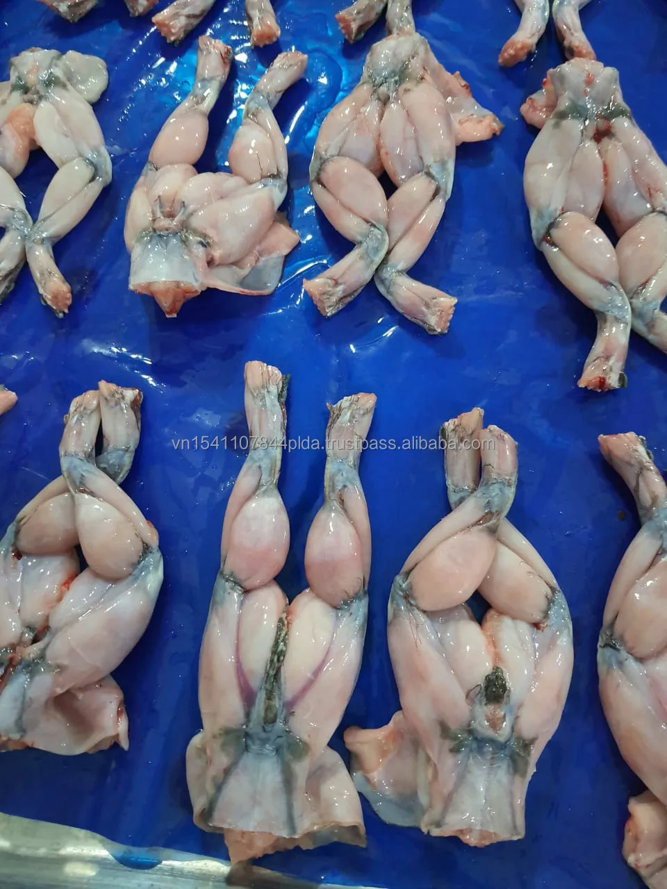 Price for seafoods and frozen food bull frog legs from Best supplier