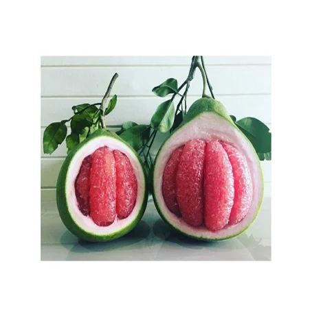 Свежий Pomelo TubTim Siam Премиум качество