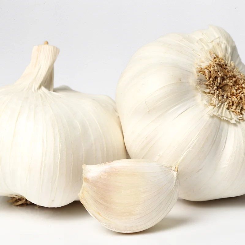 Wholesales New Arrival  Ready To Ship High Quality Fresh Product From Viet Nam Fresh Garlic For Cooking, Restaurant