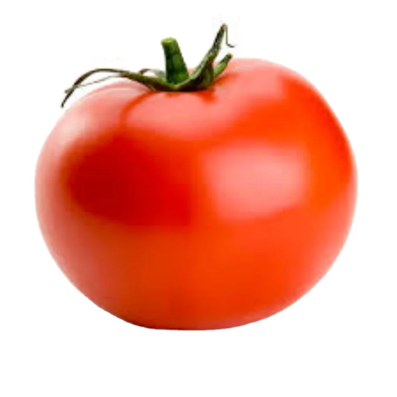 Хорошее качество OP Verity of Tomato Moneymaker по