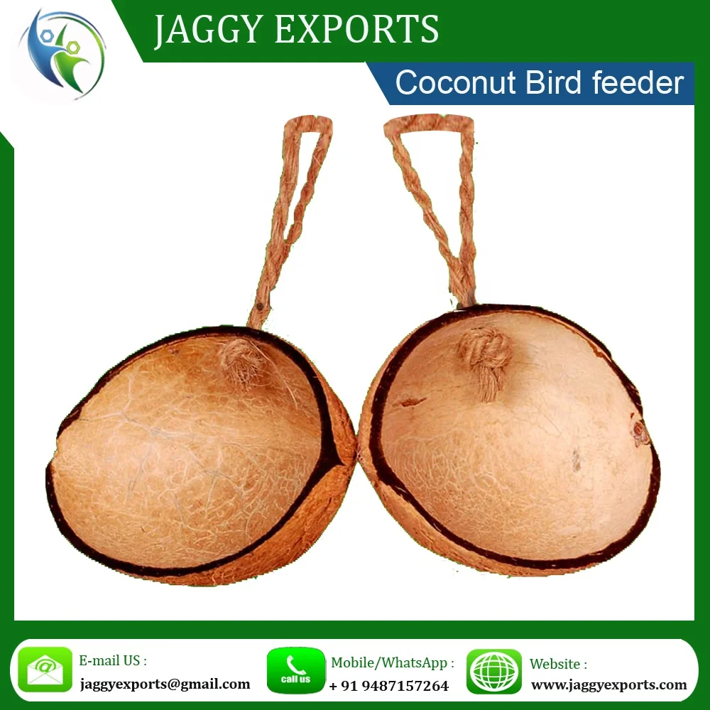 Биоразлагаемая Кормушка Для кокоса для птиц-Compo стабильная птиц-оригинальная кормушка птиц
