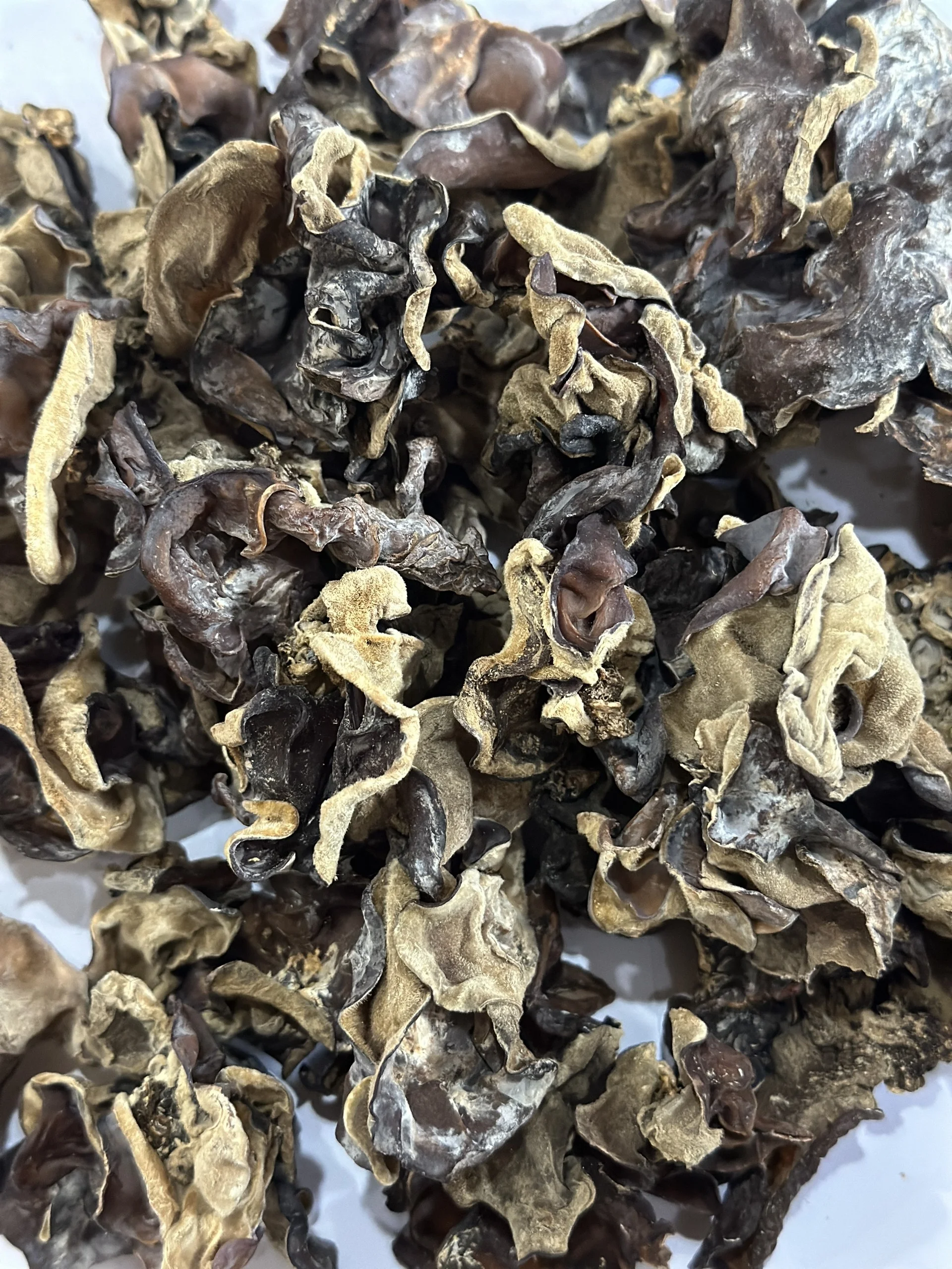 Wholesale OEM Bulk Packing Dried Kikurage Wood Ear Mushrooms for Soup Dried Black Fungus for Vegetarian