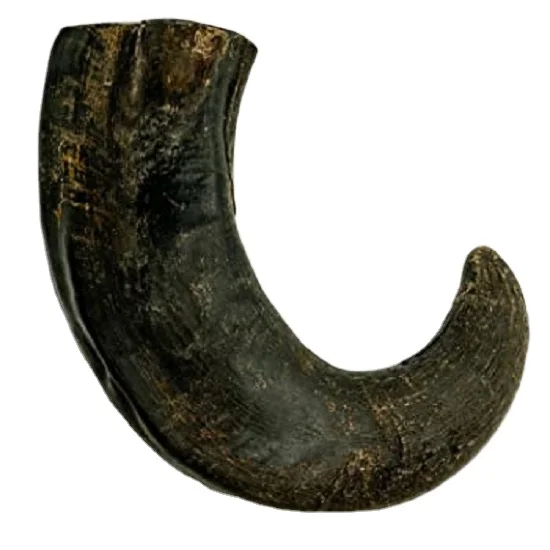 Quality and ox and Buffalo Horn Tip for sale at very polished customized horn tips with natural craft