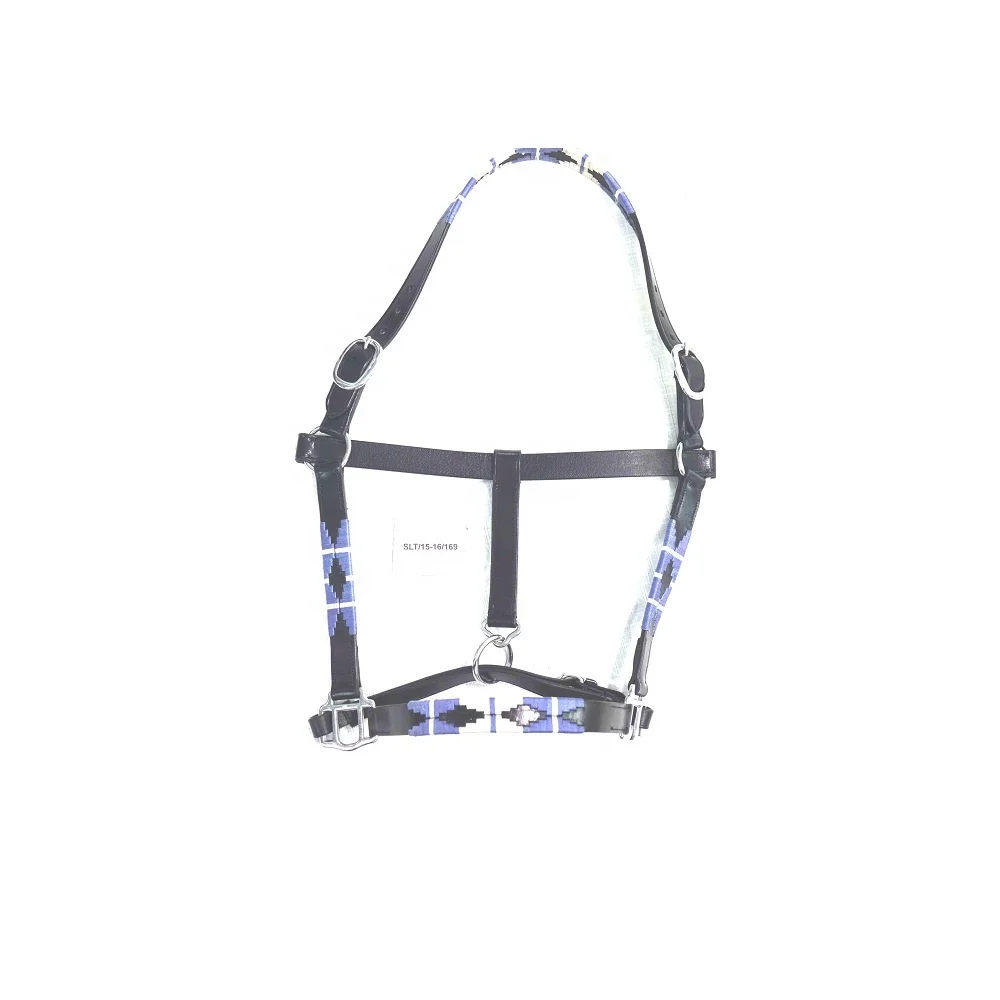 Leather Halter with name plate