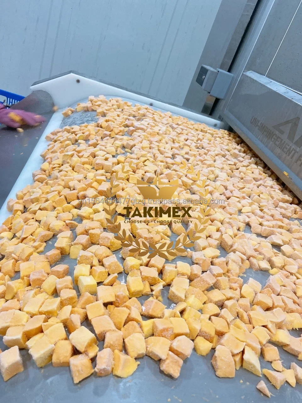 Wholesale Main Season IQF Frozen Mango With Very Good Price And High Quality Made In Vietnam