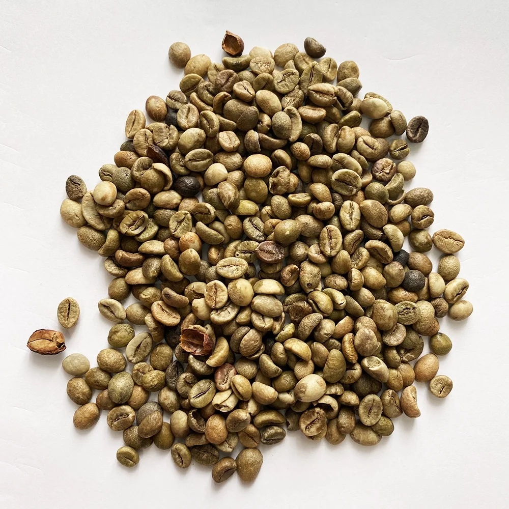 Vietnam export products cafe organic robusta coffee beans abrabica green coffee